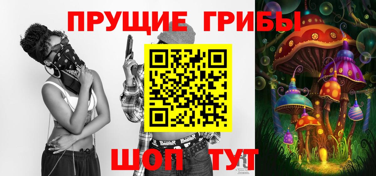 Галлюциногенные грибы Psilocybine cubensis Верхний Уфалей
