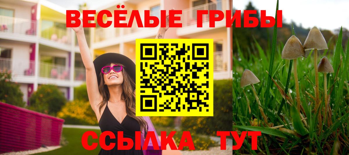 Верхний Уфалей  Псилоцибиновые грибы Cubensis  Вход с VPN  Галлюциногенные грибы ЛСД 